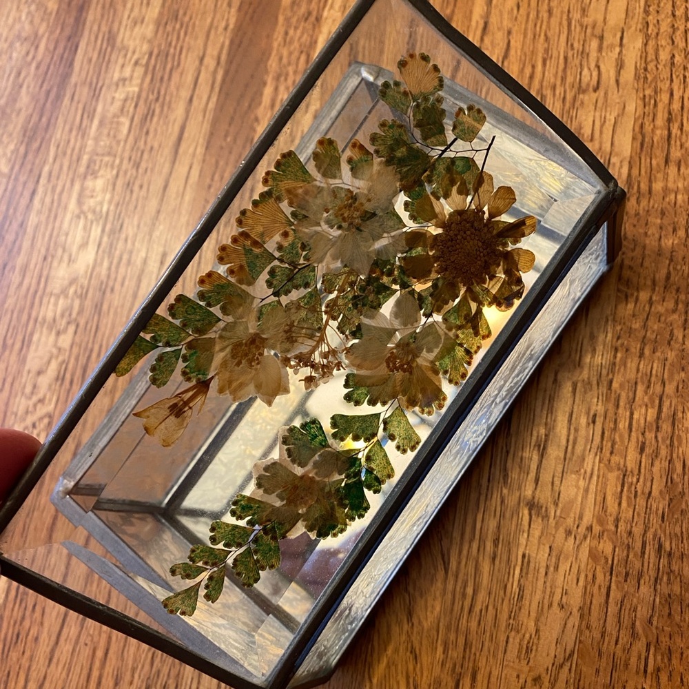 Small, heavy glass box with pressed flowers on top and mirrored bottom